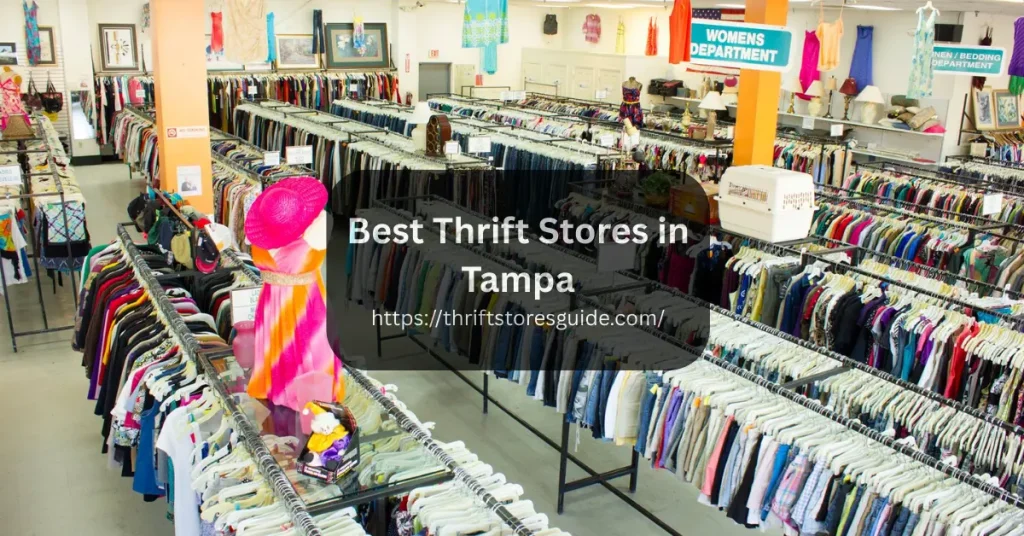 Best Thrift Stores in Tampa, Florida