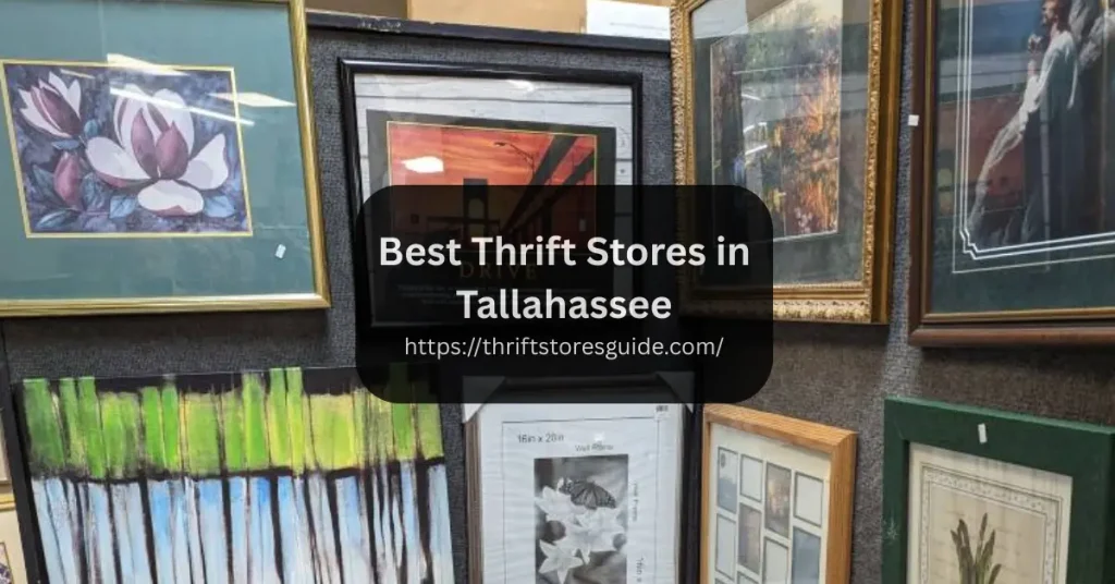 Best Thrift Stores in Tallahassee