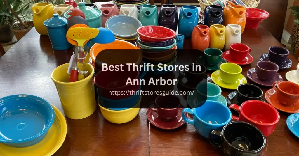 Best Thrift Stores in Ann Arbor Michigan