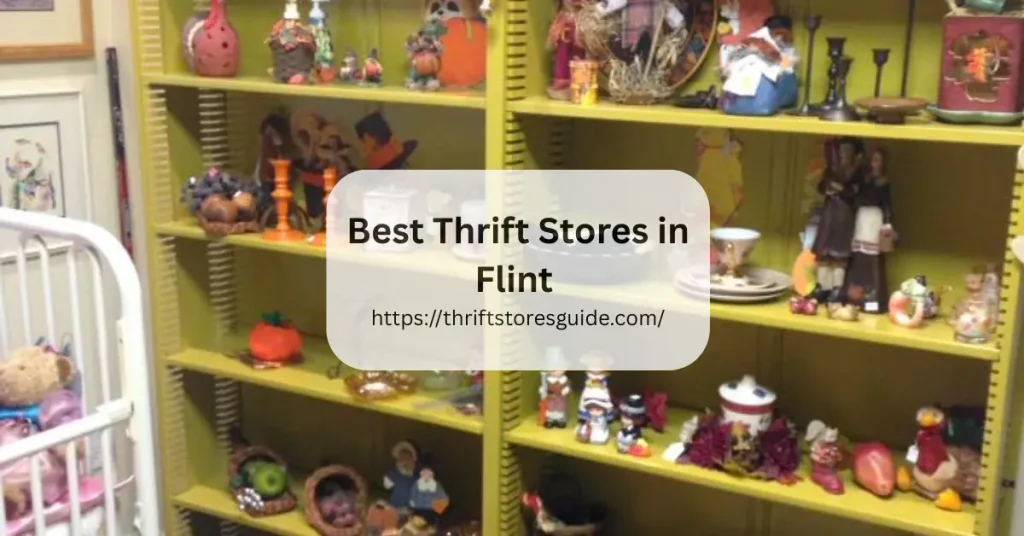 Best Thrift Stores in Flint Michigan